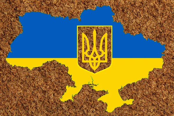 Українські Національні Символи Задньому Плані Сухого Насіння — стокове фото