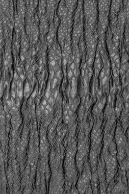 Siyah desenli buruşuk arka plan. Dantelli siyah kırışık kumaş..