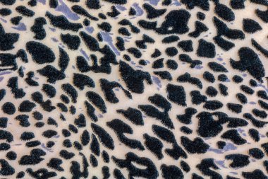 Leopar desenli arka plan, yakın plan. Leopar boyalı kumaş.