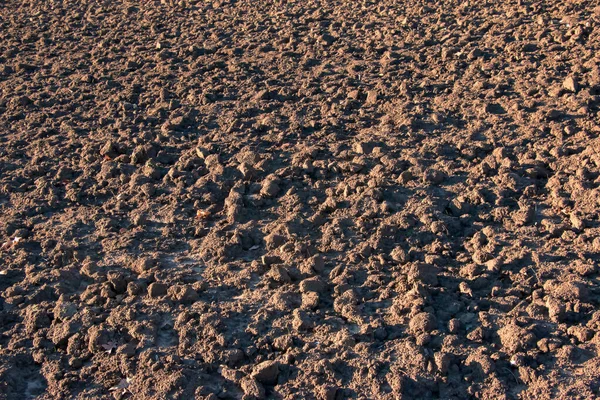 Soil texture background. Fertile soil suitable for planting. Plowed agricultural field, dry land close up.