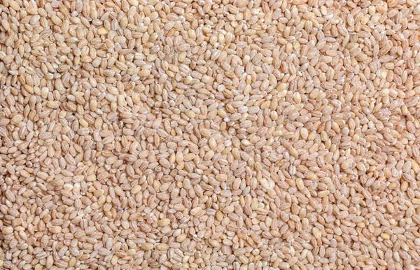 Pearl barley background close-up, top view. Pearl barley closeup, grain texture, top view. Pearl barley is processed barley grains that have been processed.