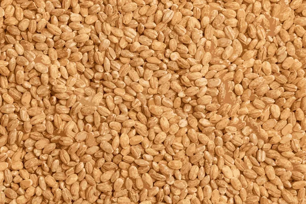 Realistic illustration of Pearl barley background close-up, top view. Pearl barley closeup, grain texture, top view. Pearl barley is processed barley grains that have been processed.