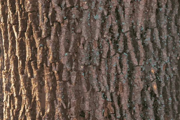 단풍나무 껍질에 현실적 삽화가 가까이 질감을 나무의 삼림의 — 스톡 사진