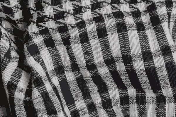 Realistic Illustration Background Texture Pattern Wool Scarf Yasser Arafat Palestinian — Foto Stock