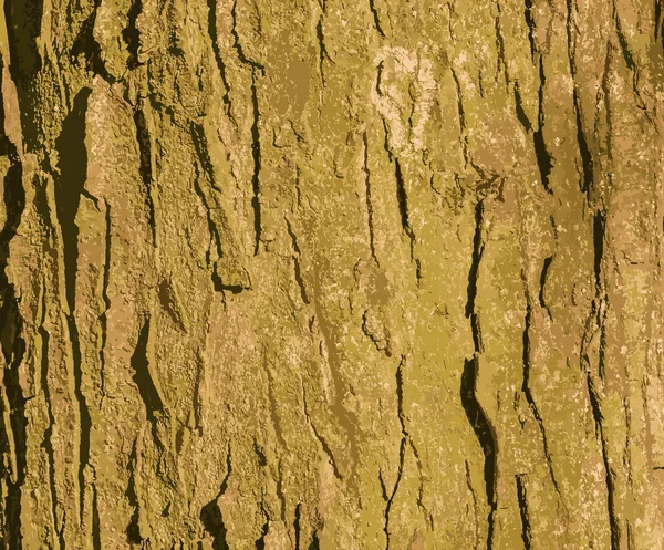 Realistische Illustratie Van Een Achtergrond Textuur Van Bruine Acaciabast Close — Stockfoto