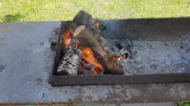 Oheň Dřevo Jasně Hořící Pánvi Klády — Stock video