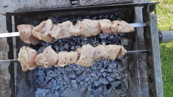 烤烤肉串在绞架上 用炽热的煤和烟烤着 绞刑架自动旋转 — 图库视频影像