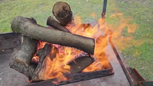 丸太と共に火鉢に火と木が燃え上がる — ストック動画