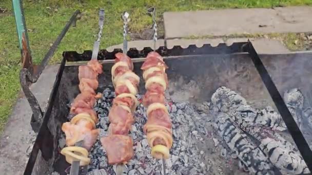 Жареное Мясо Нанизанное Шампуры Готовится Гриле Горячих Углей Дыма Шашлыки — стоковое видео