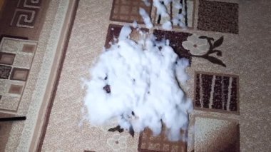 Halıyı su filtresiyle elektrikli süpürgeyle temizleme işlemi. Temizlik köpüğü halının kirli yüzeyini hamile bırakır.