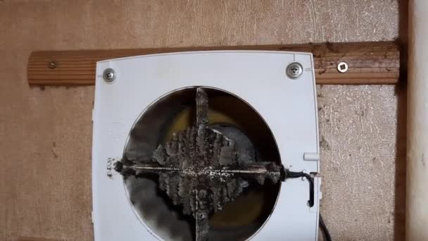非常に汚れたキッチン排気ファンのクローズアップ 予防洗浄と洗浄の前にファン — ストック動画