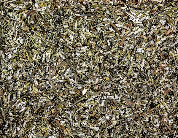 Иллюстрация Фона Сухого Наследования Травы Травяной Чай Bidens Tripartita Beggarticks — стоковое фото