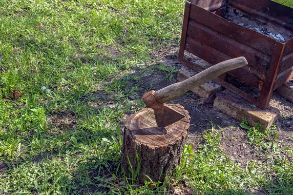 Wood Chopper Sticks Out Wooden Hemp Handle Woodworking Deforestation Sharp — Stock Photo, Image