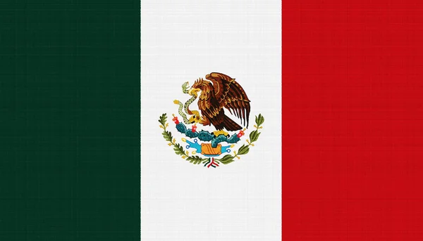 Флаг Мексики Текстурированном Фоне Концепция Коллажа — стоковое фото