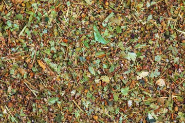 Kurumuş ıhlamur çiçeklerinin arka planı. Halk tıbbında çay yapmak için Linden kullanılır..