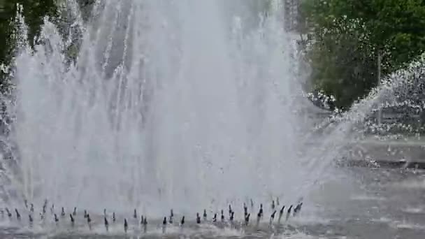 Fonte Parque Cidade Close Espalhe Água Queda Água Limpa Líquida — Vídeo de Stock
