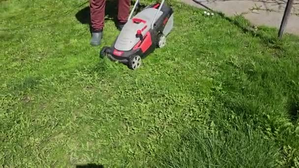 一个人在绿色的草坪上用电动割草机割草 — 图库视频影像