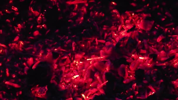 Палаюче Вугілля Барбекю Темряві Приготування Приготування Грилі Абстрактний Фон Пекло — стокове відео