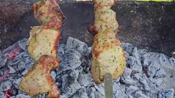 Carne Asada Parrilla Encadenada Los Pinchos Asa Con Carbones Calientes — Vídeos de Stock