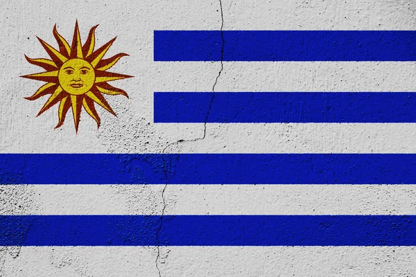 Doğu Uruguay Cumhuriyeti Bayrağı Dokulu Bir Arka Planda Kavram Kolajı — Stok fotoğraf