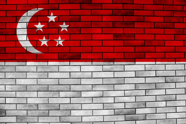 Singapurská Vlajka Strukturovaném Pozadí Koncepční Koláž — Stock fotografie