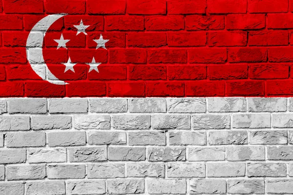 싱가포르의 국기가 문자로 쓰여져 있습니다 콜라주 — 스톡 사진
