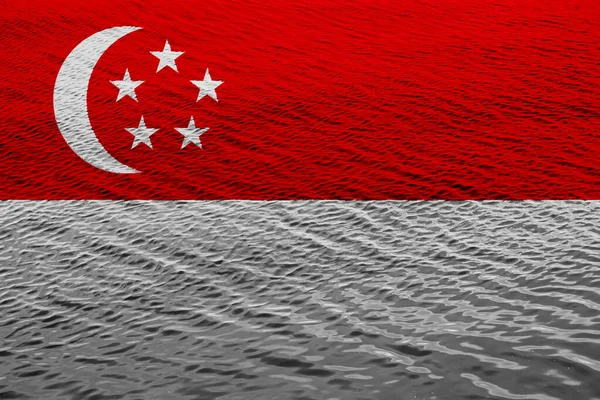 Σημαία Της Σιγκαπούρης Ανάγλυφο Φόντο Κολάζ Έννοιας — Φωτογραφία Αρχείου