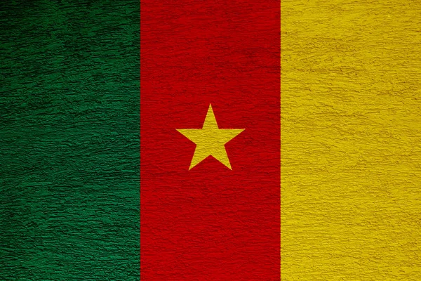 具有纹理背景的喀麦隆共和国国旗 概念拼贴 — 图库照片