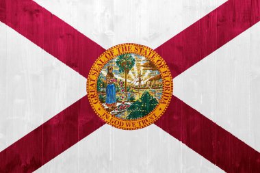 ABD 'nin Florida bayrağı desenli bir arka planda. Kavram kolajı.