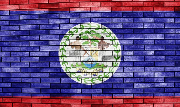 Drapeau Armoiries Belize Sur Fond Texturé Collage Conceptuel — Photo