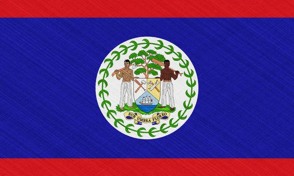 Flaga Herb Belize Teksturowanym Tle Kolaż Koncepcyjny — Zdjęcie stockowe