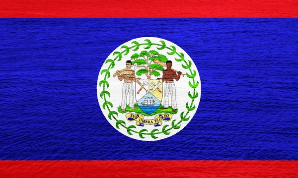 Vlajka Erb Belize Texturovaném Pozadí Koncepční Koláž — Stock fotografie