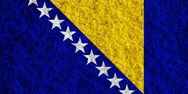 Özgeçmişinde Bosna i Hercegovina bayrağı var. Kavram kolajı.