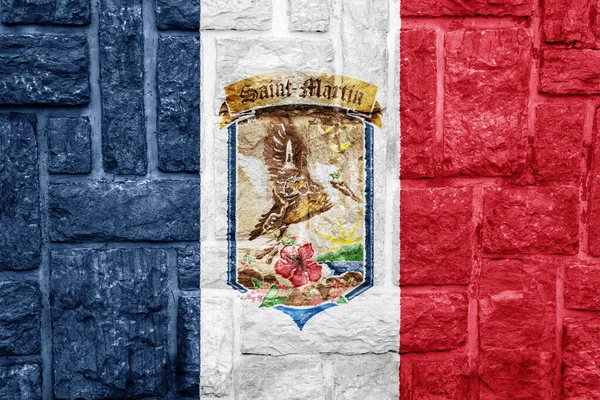 Bandera Escudo Armas Colectividad San Martín Sobre Fondo Texturizado Concepto —  Fotos de Stock