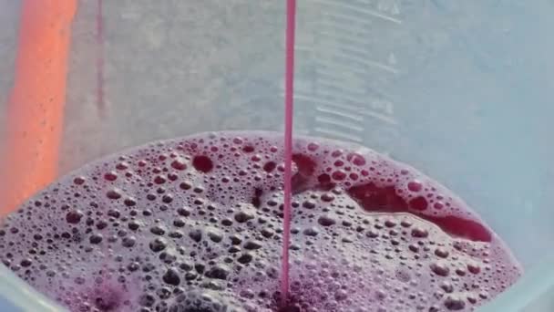 Yapımı Üzüm Şarabı Yapma Süreci Üzümler Hidrolik Prese Sıkıştırılır Üzüm — Stok video
