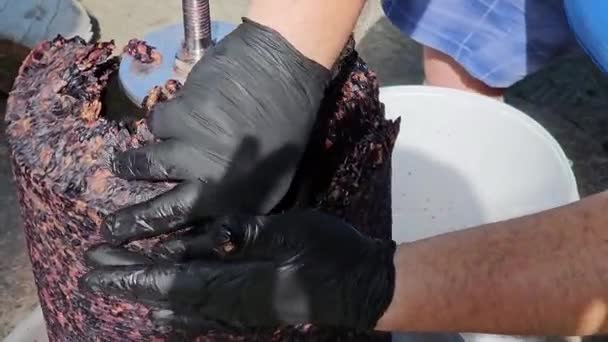 Процес Виготовлення Саморобного Виноградного Вина Винороб Збирає Якоть Винограду Гідравлічного — стокове відео