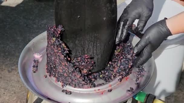 Proces Výroby Domácího Hroznového Vína Vinař Sbírá Hroznovou Dužninu Hydraulického — Stock video