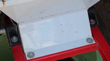 Ev yapımı üzüm şarabı yapma süreci. Şarap üreticisi üzümleri hidrolik prese yüklemek için özel bir öğütücüde öğütür..