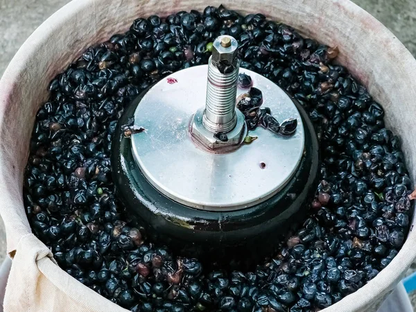 自家製ブドウワインを作るプロセス 発酵のためのブドウジュースを入手するための油圧プレスの操作 — ストック写真