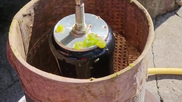 自家製ブドウワインを作るプロセス ワインメーカーの負荷はブドウを油圧プレスに押しつぶしました — ストック動画