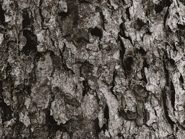 ロワンバークのクローズアップベクトルイラスト ソルバス トルミナリスL 生きた木の背景のトランクのテクスチャー 森の自然のレザー — ストックベクタ