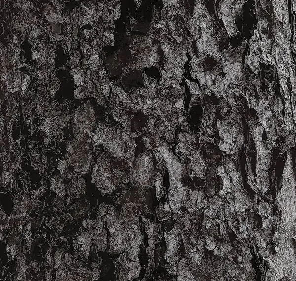 矢量图解划船树皮特写 山楂树干的结构 背景为活木 森林性质的皮革 — 图库矢量图片