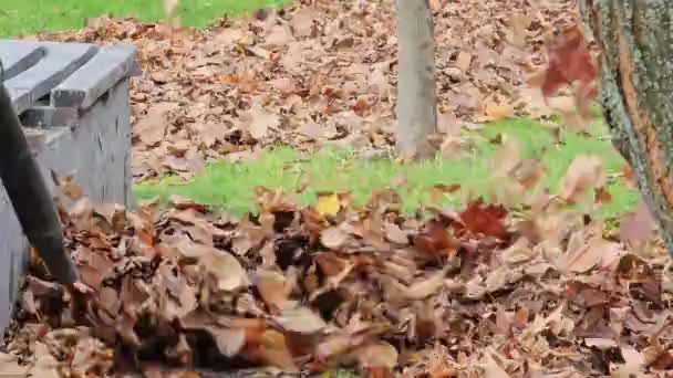 Рабочий Убирает Осенние Листья Парке Крупный План Подготовка Города Зиме — стоковое видео