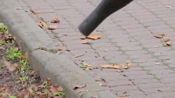 Ein Arbeiter Entfernt Herbstlaub Park Nahaufnahme Die Stadt Auf Den — Stockvideo