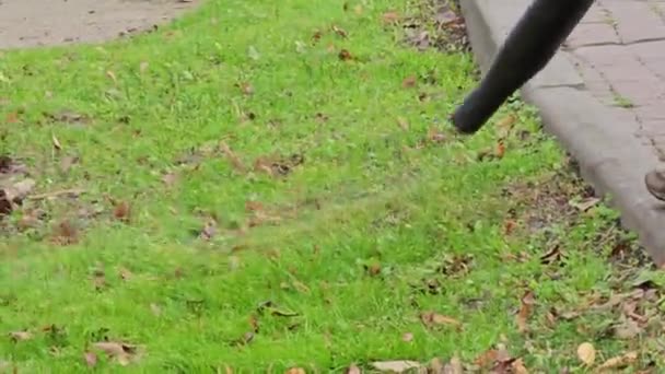 Een Arbeider Verwijdert Herfstbladeren Het Park Een Close Stad Voorbereiden — Stockvideo