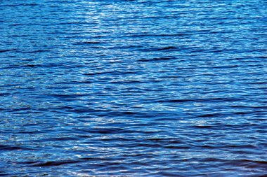 Water ripple texture background. Wavy water surface during sunset, golden light reflecting in the water.