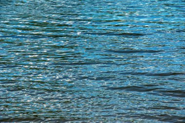 Water ripple texture background. Wavy water surface during sunset, golden light reflecting in the water.