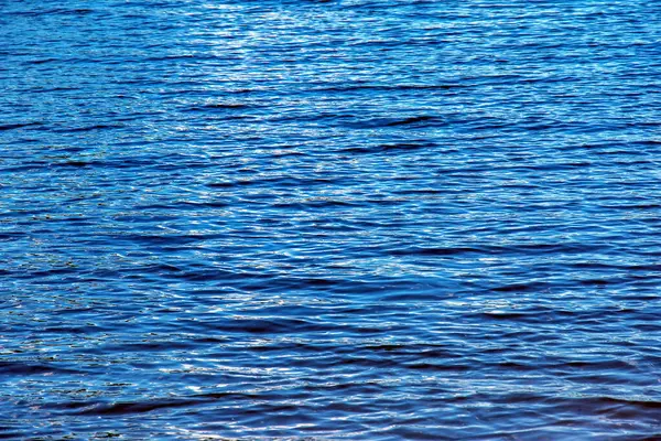 Water ripple texture background. Wavy water surface during sunset, golden light reflecting in the water.