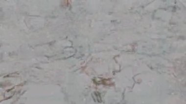 Şehirde yağmur yağıyor. Sonbahar. Kaldırıma yağmur damlaları düşüyor. Yağmur damlalarından sudaki daireler.