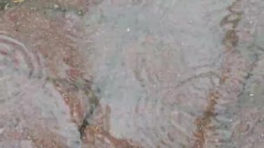 Şehirde yağmur yağıyor. Sonbahar. Kaldırıma yağmur damlaları düşüyor. Yağmur damlalarından sudaki daireler.